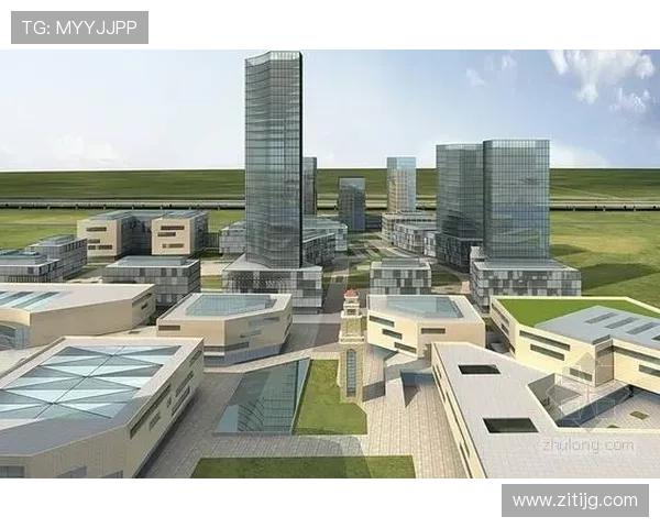 东阳企业家在现代商业创新中的突破与成就解析